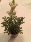 BS27 plant witte bloem gouden pot